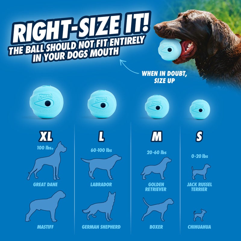Chuckit! The Whistler Ball Dog Toy, Medium (2.5 Inch Diameter) for Dogs 20-60 lbs, Pack of 2, Multicolor - Image 5